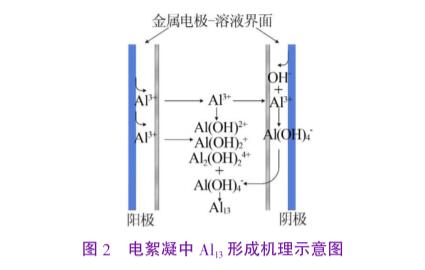 圖2電絮凝中Al13形成機理示意圖